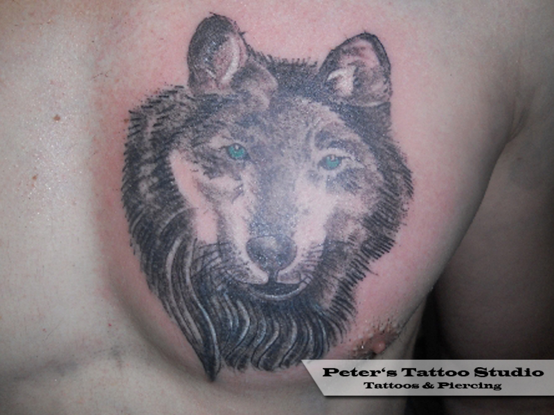Animals | www.pp-tattoos.com